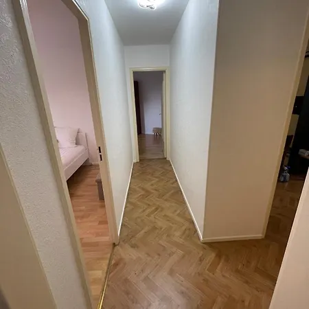 Bambou Vandoeuvre-lès-Nancy