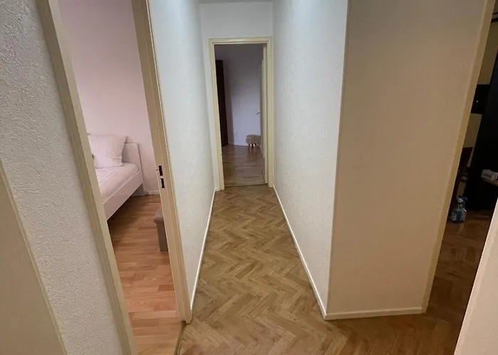 Bambou Vandoeuvre-lès-Nancy