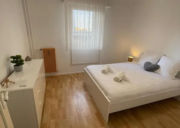 Bambou Vandoeuvre-lès-Nancy